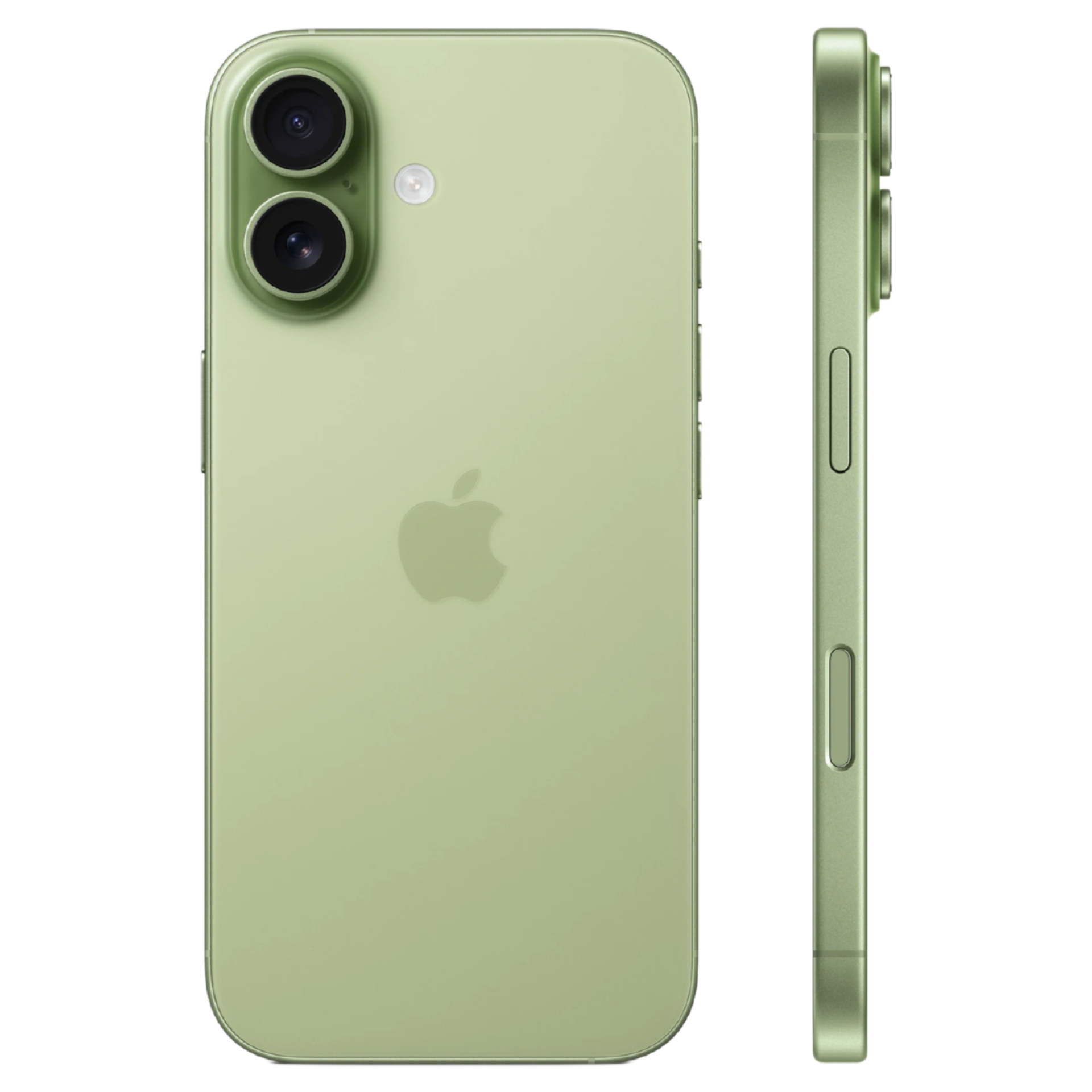 Vista trasera y lateral de un iPhone 17 en color verde claro. Muestra el sistema de doble cámara y los botones de control de volumen y encendido.