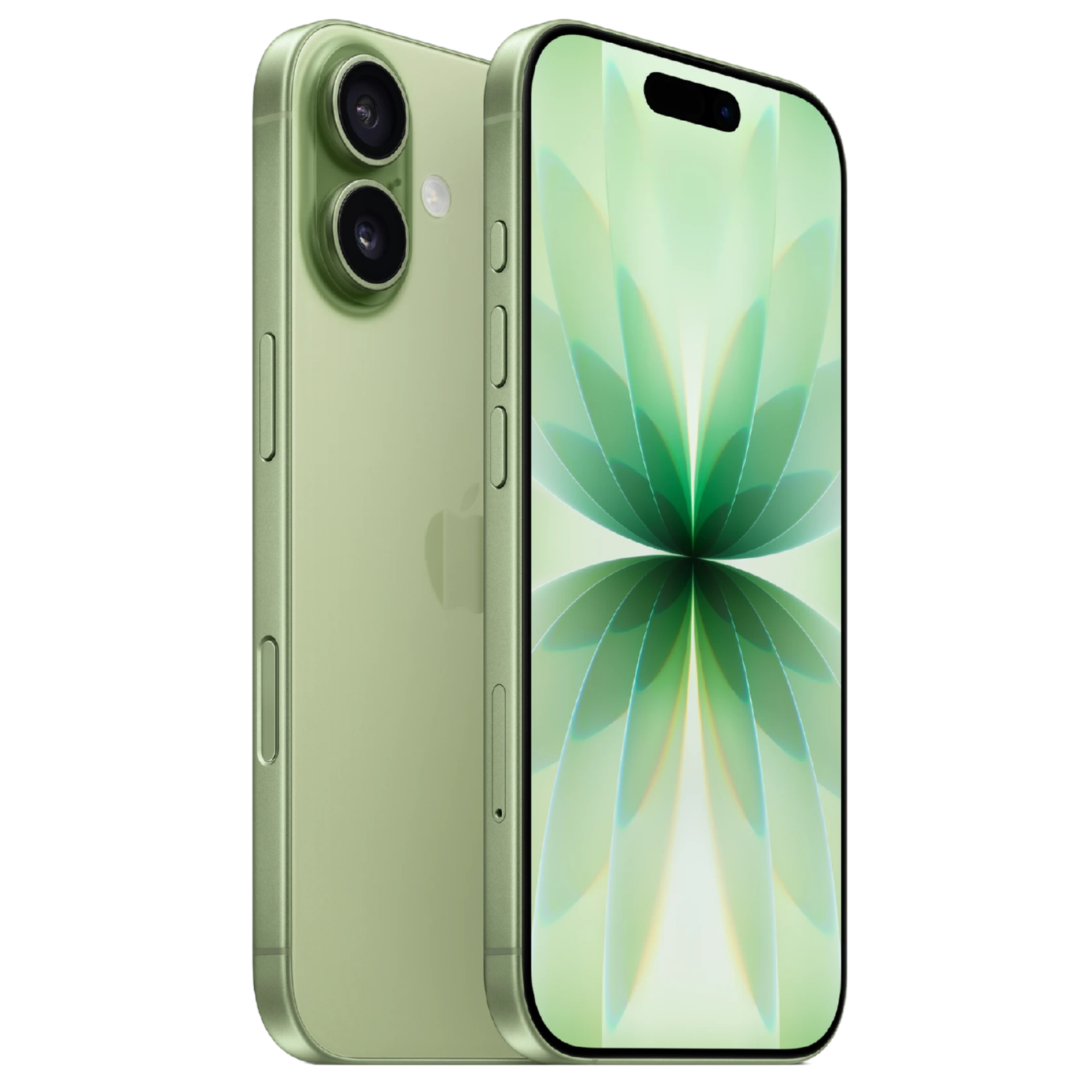 Representación de un iPhone 17 en color verde claro. Se muestra la parte trasera con doble cámara y la pantalla frontal con un fondo de pantalla floral verde.
