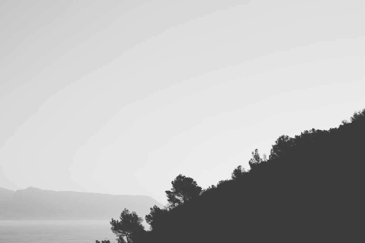 green trees near body of water during daytime