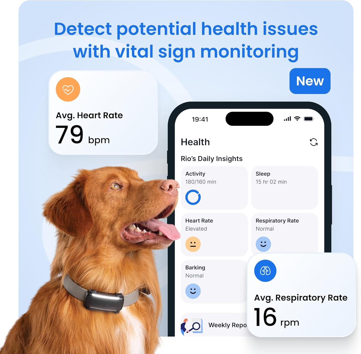 Smart Dog GPS Tracker | Live Pet Tracker with Virtual Fence | Vital Signs Monitoring of Heart & Respiratory Rate | Bark Monitoring | Dog Collar Attachment (Black)
