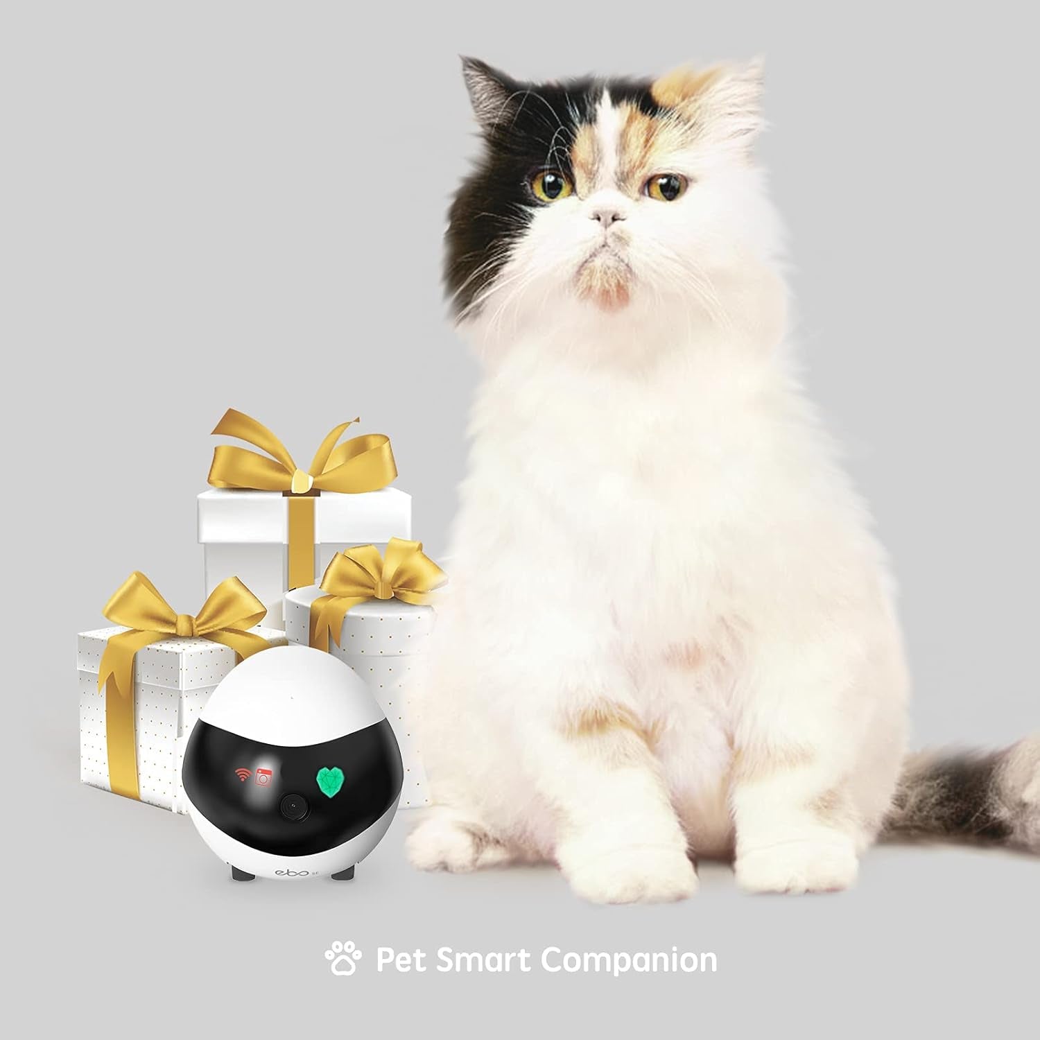 SE Familybot Home Camera Robot: 1080P Movable Pet Camera Indoor, Battery-Operated, Auto-Recharge, Night Vision, 2-Way Talk, Local Storage, APP Control